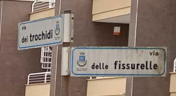 Bed and Breakfast Il Focolare Focene Esterno foto